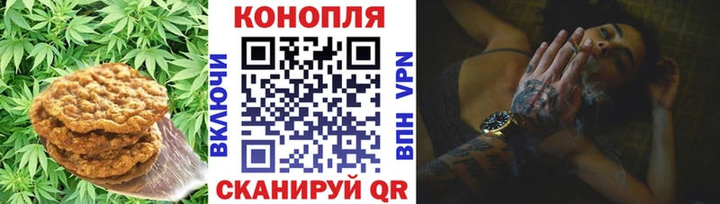 Еда ТГК марихуана  Купить где  Горячий Ключ 