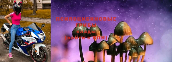 марки nbome Каменка