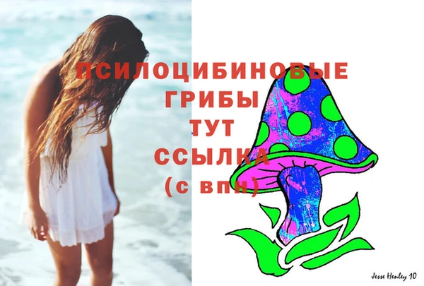 МДПВ Каменск-Шахтинский